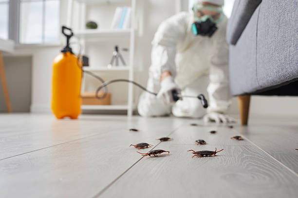 Commercial Kitchen Cockroach Control in Pahokee